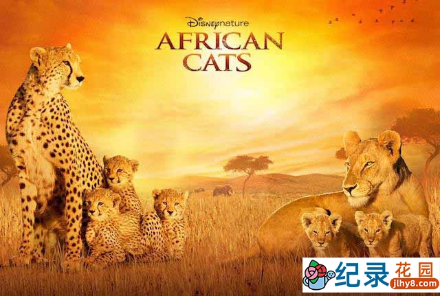 迪士尼自然生物纪录片《非洲猫科 African Cats 2011》全1集 720P/1080i高清纪录片资源百度云盘下载插图