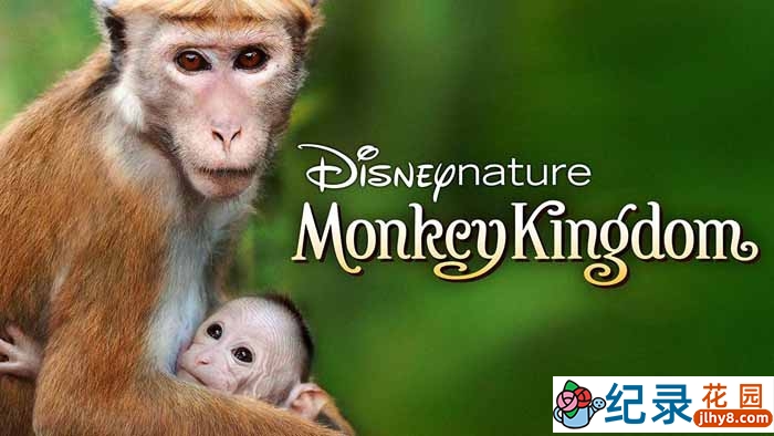 迪士尼自然生物纪录片《猴子王国 Monkey Kingdom 2015》全1集 720P/1080i高清纪录片资源百度云盘下载插图