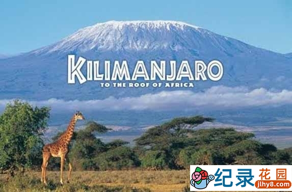 IMAX自然生态纪录片《乞力马扎罗山非洲之巅 Kilimanjaro To the Roof of Africa》全1集 720P/1080i高清纪录片资源百度云盘下载插图