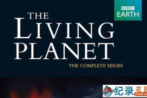 BBC自然地理纪录片《活力星球 The Living Planet》全12集 标清纪录片资源百度云盘下载