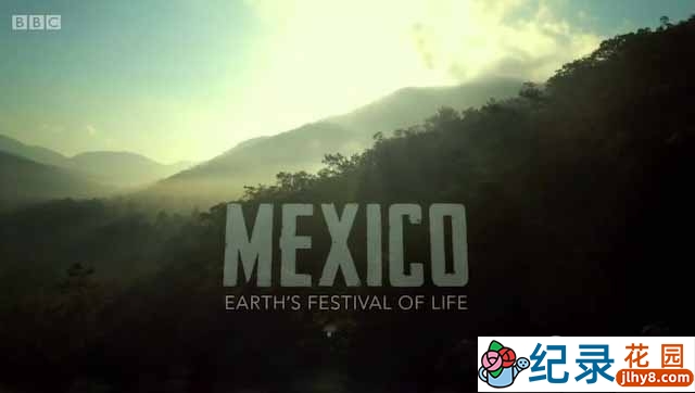 BBC自然生态纪录片《墨西哥:地球上的生命狂欢 Mexico-Earth’s Festival of Life》全3集 720P/1080i高清纪录片资源百度云盘下载插图