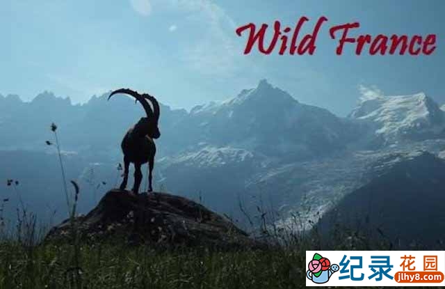 法国自然生态纪录片《野性法国 Wild France》全2集 720P/1080i高清纪录片资源百度云下载插图