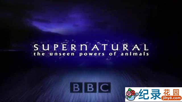 BBC生命探索纪录片《超自然力量：探索自然界的神奇力量 Supernatural The Unseen Powers of Animals》全6集 标清纪录片百度云下载插图