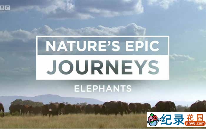 BBC自然生态纪录片《自然史诗之旅 Nature’s Epic Journeys》全3集 720P/1080i高清纪录片百度云下载插图