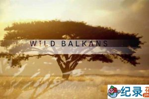 PBS自然生态纪录片《野性的巴尔干 Wild Balkans》全1集 720P/1080i高清纪录片百度云下载