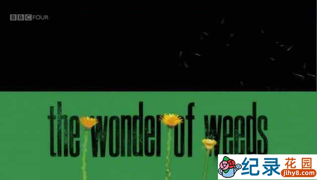 BBC自然生态纪录片《奇妙的杂草/野草奇妙物语 The Wonder of Weeds》全1集 标清纪录片百度云下载插图