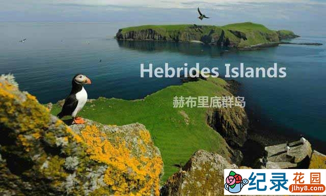 BBC自然生态纪录片《赫布里底群岛 边海之岛 Hebrides Islands on the Edge》全4集 720P/1080i高清纪录片百度云下载插图