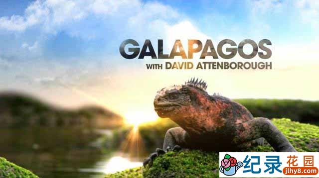 加拉帕戈斯自然生态纪录片《细看进化岛 Galapagos with David Attenborough》全3集 720P/1080i高清纪录片百度云下载插图