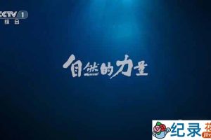 CCTV央视自然生态纪录片《自然的力量 The Charm of Nature》全6集 720P/1080i高清纪录片百度云下载