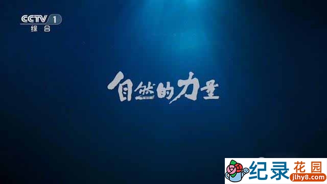 CCTV央视自然生态纪录片《自然的力量 The Charm of Nature》全6集 720P/1080i高清纪录片百度云下载插图