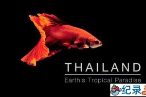 BBC自然生态纪录片《泰国:地球上的热带天堂 Thailand: Earth’s Tropical Paradise》全3集 720P/1080i高清纪录片百度云下载