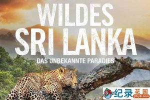 国家地理自然生态纪录片《野性斯里兰卡 Wild Sri Lanka》全3集 720P/1080i高清纪录片百度云下载