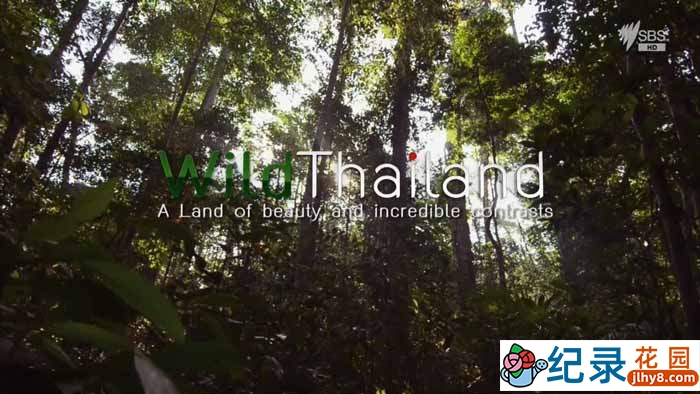 国家地理自然生态纪录片《野性泰国 Wild Thailand》全2集 720P/1080i高清纪录片百度云下载插图