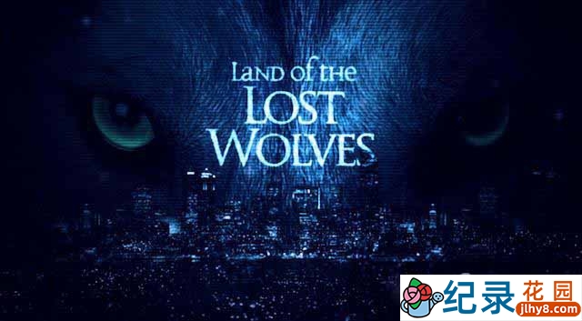 BBC自然生态纪录片《狼群失落之地 Land of the Lost Wolves》全2集 720P/1080i高清纪录片百度云下载插图