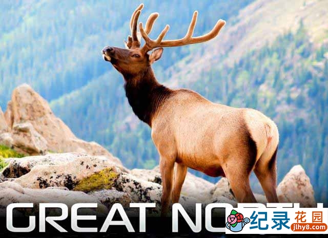 IMAX自然生态纪录片《大北方 Great North》全1集 720P/1080i高清纪录片百度云下载插图