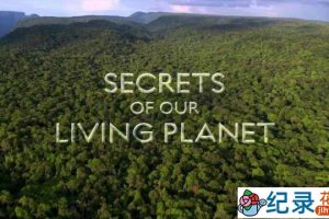 BBC自然生态纪录片《地球探秘 Secrets of Our Living Planet》全4集 720P/1080i高清纪录片百度云下载