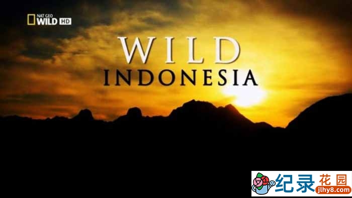 国家地理自然生态纪录片《印尼野生大地 Wild Indonesia》全3集 720P/1080i高清纪录片百度云插图