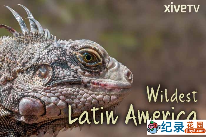 探索频道自然生态纪录片《拉美野生大地 Wildest Latin America》全5集 720P/1080i高清纪录片百度云插图