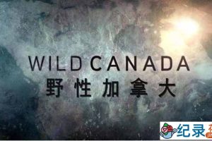 CBC自然生态纪录片《野性加拿大 Wild Canada》全5集 720P/1080i高清纪录片百度云