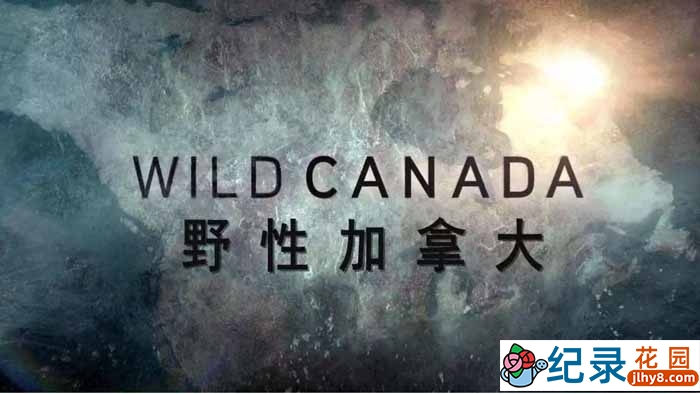 CBC自然生态纪录片《野性加拿大 Wild Canada》全5集 720P/1080i高清纪录片百度云插图