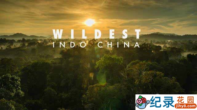 探索频道自然生态纪录片《中南半岛野生大地 Wildest Indochina》全5集 720P/1080i高清纪录片资源百度云盘下载插图