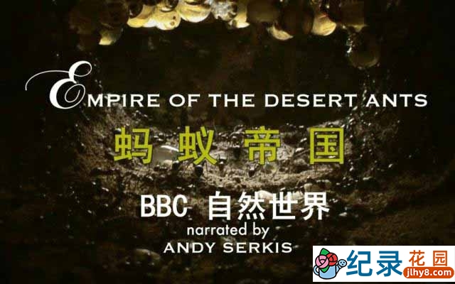 BBC自然生态纪录片《蚂蚁帝国 Empire of the Desert Ants 2010》全1集 720P/1080i高清纪录片百度云插图