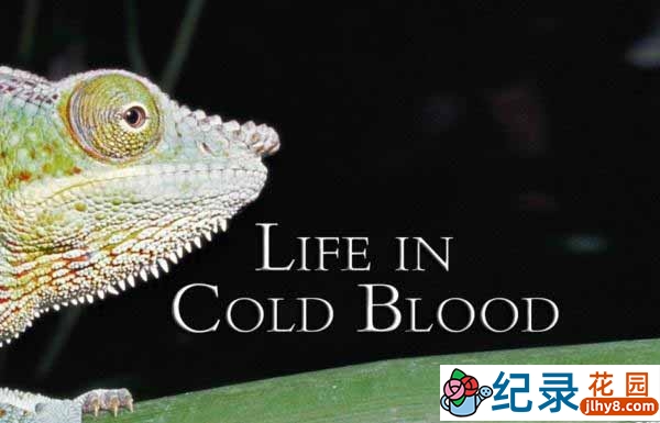 BBC自然生物纪录片《冷血生命 Life In The Cold Blood》全5集 标清纪录片资源百度云盘下载插图