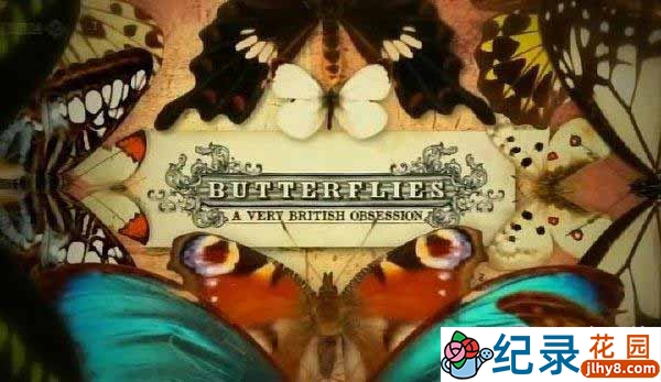 BBC自然生态纪录片《翩翩蝴蝶—英国式迷恋 Butterflies: A Very British Obsession》全1集 标清纪录片百度云插图