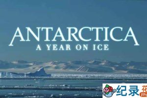 BBC南极自然生态纪录片《南极洲：冰上的一年 Antarctica A Year on Ice》全1集 720P/1080i高清纪录片百度云