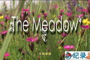 自然生态纪录片《天赐草原 The Meadow》全1集中字 纪录片资源百度云盘下载 720P/MKV/2.52G