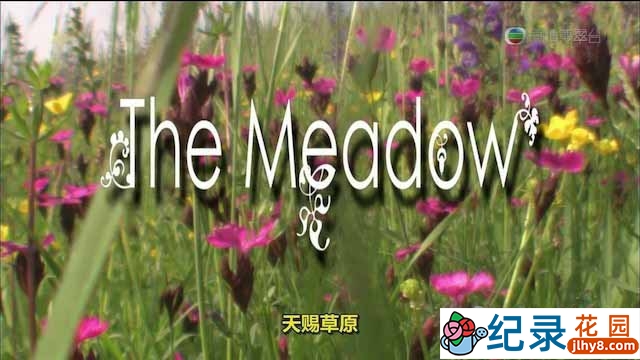 自然生态纪录片《天赐草原 The Meadow》全1集