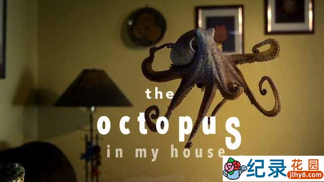 BBC自然生物纪录片《我的宠物章鱼 The Octopus in My House》全1集