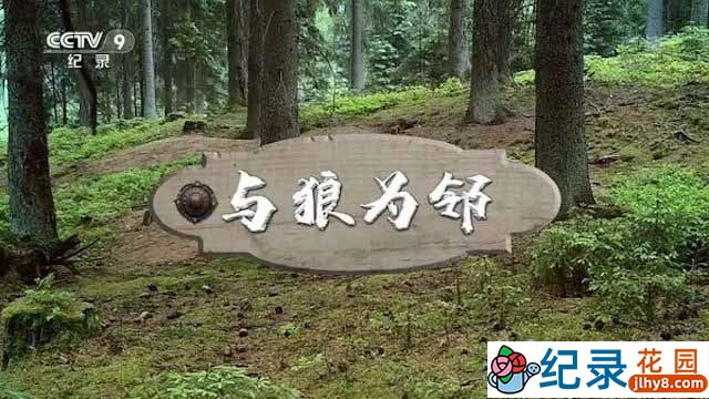 德国自然生态纪录片《与狼为邻》全1集