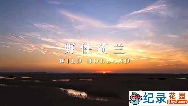 央视自然生态纪录片《野性荷兰 Wild Holland》全2集