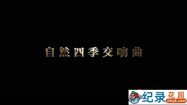 央视自然生态纪录片《自然四季交响曲》全1集