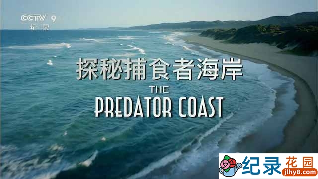 央视自然生态纪录片《探秘捕食者海岸 The Predator Coast》全1集