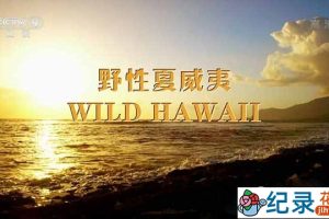 央视自然生态纪录片《野性夏威夷 Wild Hawaii》全1集 TS/蓝光高清纪录片资源百度云盘下载