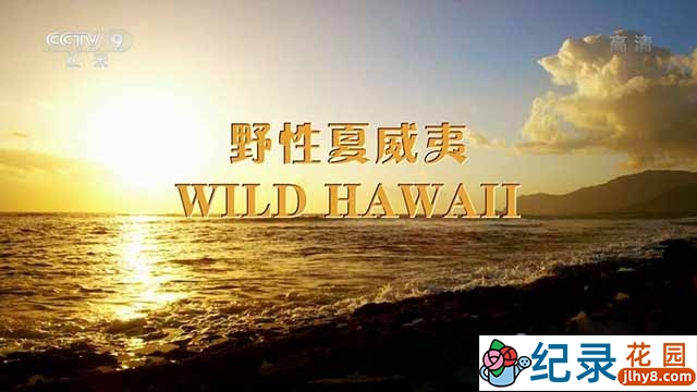 央视自然生态纪录片《野性夏威夷 Wild Hawaii》全1集