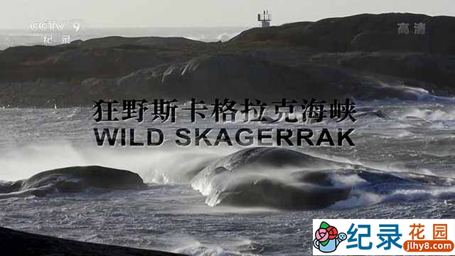 央视自然生态纪录片《狂野斯卡格拉克海峡 Wild Skagerrak》全1集