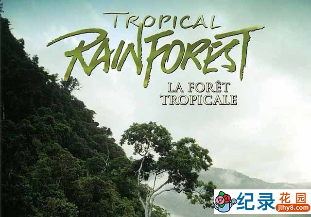 IMAX自然生态纪录片《热带雨林 Tropical Rainforest》全1集