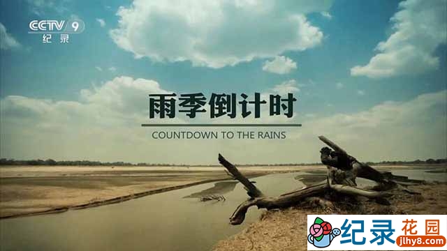 BBC自然生态纪录片《雨季倒计时 Countdown to the Rains》全3集