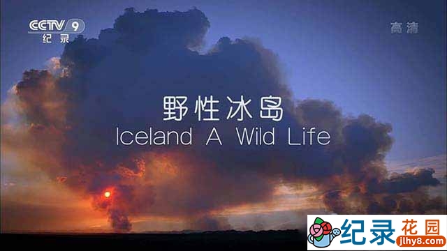 BBC自然生态纪录片《野性冰岛 Iceland A Wild Life》全3集