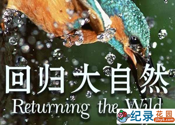 央视自然生态纪录片《回归大自然 Returning the Wild》全3集