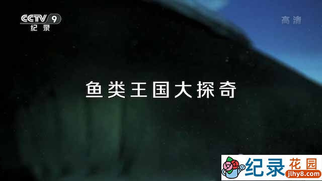 央视自然生物纪录片《鱼类王国大探奇》全1集