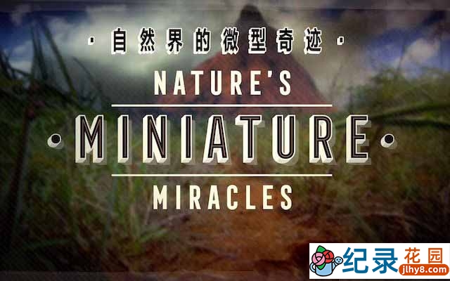 央视自然生态纪录片《大自然的微型奇迹 Nature’s Miniature miracles》全1集