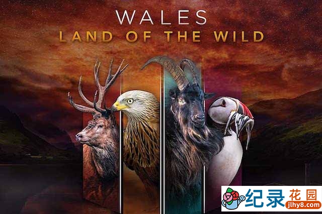 BBC自然生态纪录片《威尔士：狂野大地/野性威尔斯 Wales: Land of the Wild》全4集