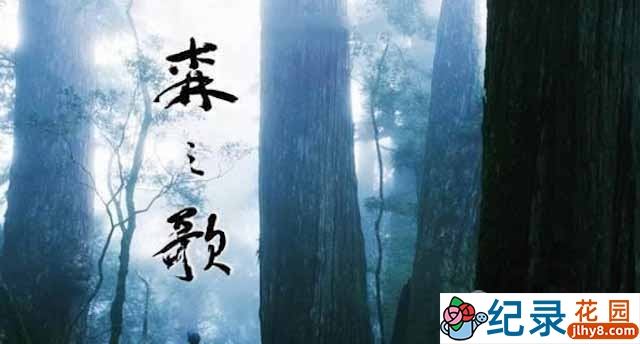 PTS自然生态纪录片《森之歌 Song of the Forest》全1集