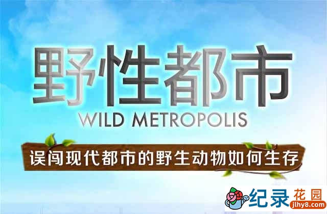 社会人文纪录片《野性都市 Wild Metropolis》全3集