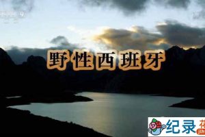 央视自然生态纪录片《野性西班牙 Wild Spain》全2集 720P/1080i高清纪录片资源百度云盘下载