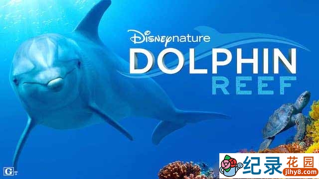 迪士尼自然生态纪录片《海豚礁 Dolphin Reef》全1集